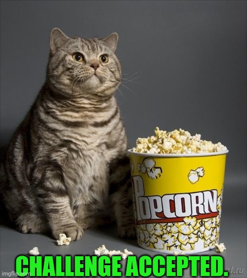 Cat eating popcorn | CHALLENGE ACCEPTED. | image tagged in cat eating popcorn | made w/ Imgflip meme maker