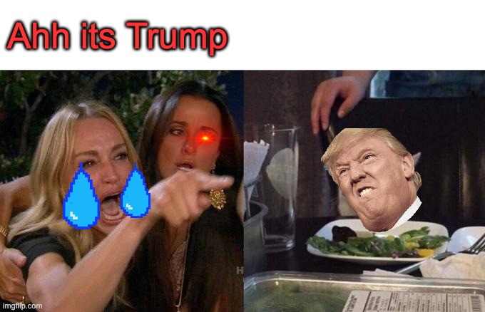 Woman Yelling At Cat | Ahh its Trump | image tagged in memes,woman yelling at cat | made w/ Imgflip meme maker