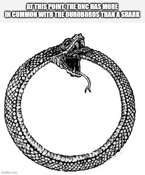 AT THIS POINT, THE DNC HAS MORE IN COMMON WITH THE OUROBOROS THAN A SHARK | made w/ Imgflip meme maker