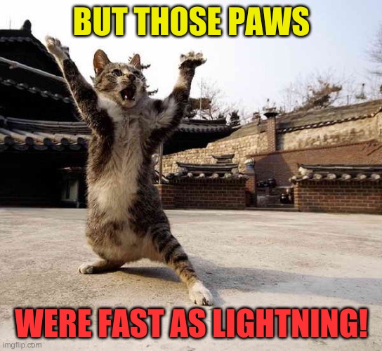 Ninja cat in stance | BUT THOSE PAWS WERE FAST AS LIGHTNING! | image tagged in ninja cat in stance | made w/ Imgflip meme maker