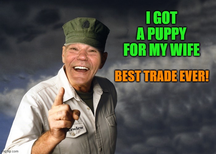 a puppy for my wife! | I GOT A PUPPY FOR MY WIFE; BEST TRADE EVER! | image tagged in puppy,wife | made w/ Imgflip meme maker