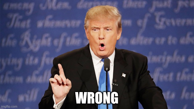 Donald Trump Wrong | WRONG | image tagged in donald trump wrong | made w/ Imgflip meme maker