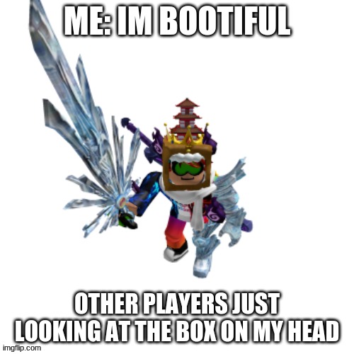 RobloxMemes | ME: IM BOOTIFUL; OTHER PLAYERS JUST LOOKING AT THE BOX ON MY HEAD | image tagged in memes | made w/ Imgflip meme maker