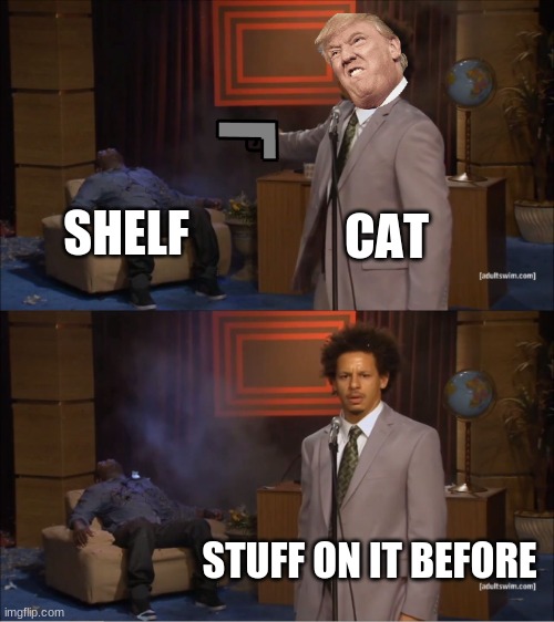 Who Killed Hannibal | CAT; SHELF; STUFF ON IT BEFORE | image tagged in memes,who killed hannibal | made w/ Imgflip meme maker