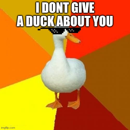 ducks |  I DONT GIVE A DUCK ABOUT YOU | image tagged in memes,tech impaired duck,bruhanimal,ducks,poutine,sick | made w/ Imgflip meme maker