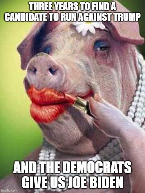 The Dems Choice | THREE YEARS TO FIND A CANDIDATE TO RUN AGAINST TRUMP; AND THE DEMOCRATS GIVE US JOE BIDEN | image tagged in lipstick on a pig,PoliticalHumor | made w/ Imgflip meme maker