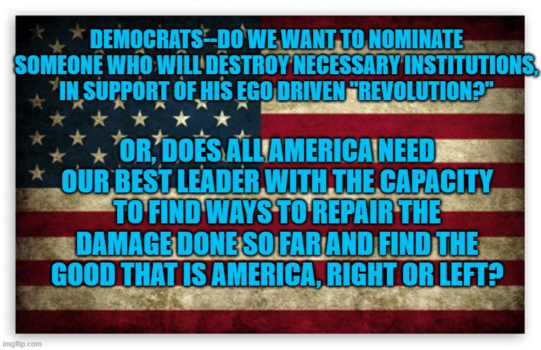 HD US Flag | DEMOCRATS--DO WE WANT TO NOMINATE SOMEONE WHO WILL DESTROY NECESSARY INSTITUTIONS, IN SUPPORT OF HIS EGO DRIVEN "REVOLUTION?"; OR, DOES ALL AMERICA NEED OUR BEST LEADER WITH THE CAPACITY TO FIND WAYS TO REPAIR THE DAMAGE DONE SO FAR AND FIND THE GOOD THAT IS AMERICA, RIGHT OR LEFT? | image tagged in hd us flag | made w/ Imgflip meme maker