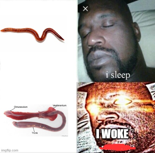 Sleeping Shaq Meme | I WOKE | image tagged in memes,sleeping shaq | made w/ Imgflip meme maker