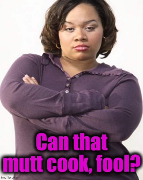 attitude | Can that mutt cook, fool? | image tagged in attitude | made w/ Imgflip meme maker