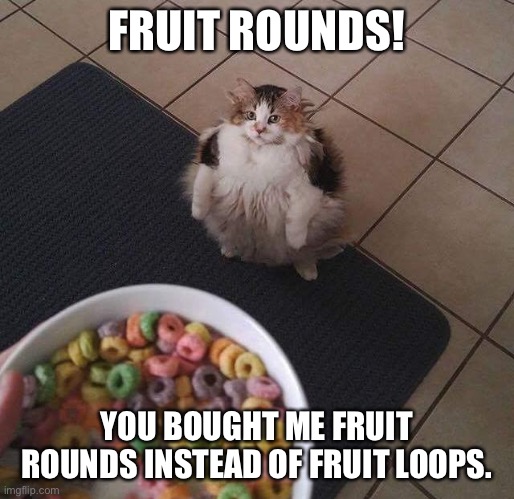 Loops Brother | FRUIT ROUNDS! YOU BOUGHT ME FRUIT ROUNDS INSTEAD OF FRUIT LOOPS. | image tagged in loops brother | made w/ Imgflip meme maker