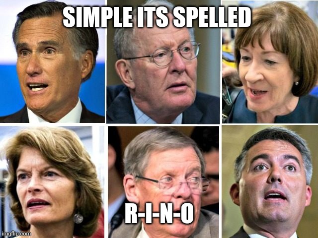 RINO Republicans | SIMPLE ITS SPELLED R-I-N-O | image tagged in rino republicans | made w/ Imgflip meme maker