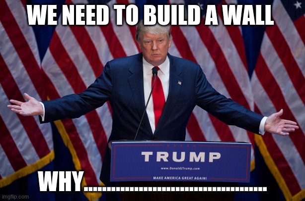 Donald Trump | WE NEED TO BUILD A WALL; WHY........................................ | image tagged in donald trump | made w/ Imgflip meme maker