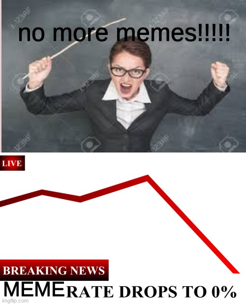 no more memes | no more memes!!!!! MEME | image tagged in ____ rate drops to 0,memes rate drops,teacher s creaming | made w/ Imgflip meme maker