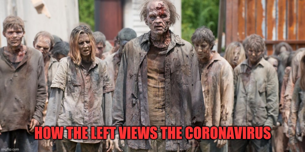 Coronavirus | HOW THE LEFT VIEWS THE CORONAVIRUS | image tagged in coronavirus | made w/ Imgflip meme maker