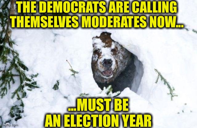 Yep, and while you were hibernating they they even tried to remove the President from office | THE DEMOCRATS ARE CALLING THEMSELVES MODERATES NOW... ...MUST BE AN ELECTION YEAR | image tagged in democrats,democratic party,politics,bear | made w/ Imgflip meme maker