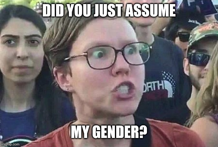 Triggered Liberal | DID YOU JUST ASSUME MY GENDER? | image tagged in triggered liberal | made w/ Imgflip meme maker