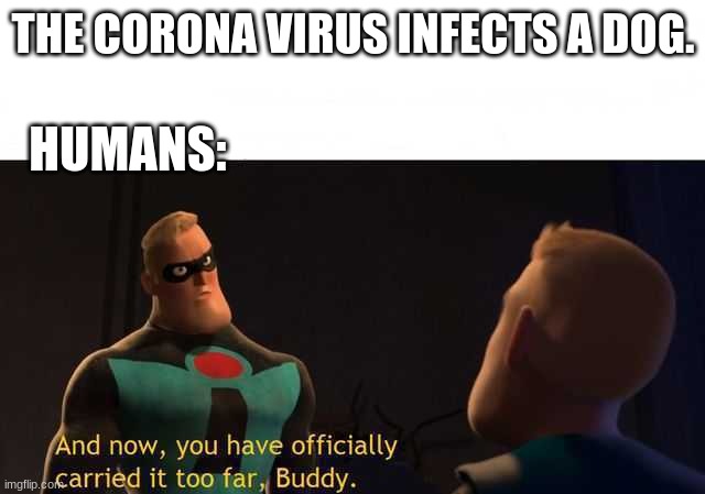 And now you have officially carried it too far buddy | THE CORONA VIRUS INFECTS A DOG. HUMANS: | image tagged in and now you have officially carried it too far buddy | made w/ Imgflip meme maker