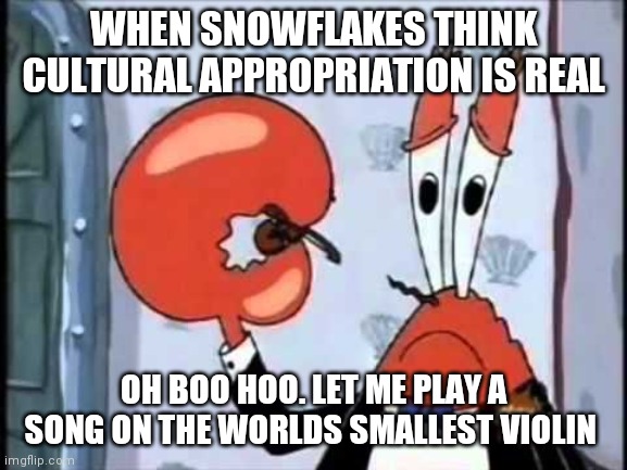Cultural appropriation isn't real | WHEN SNOWFLAKES THINK CULTURAL APPROPRIATION IS REAL; OH BOO HOO. LET ME PLAY A SONG ON THE WORLDS SMALLEST VIOLIN | image tagged in mr krabs-oh boo hoo this is the worlds smallest violin and it,memes,cultural appropriation,snowflakes,triggered snowflakes | made w/ Imgflip meme maker