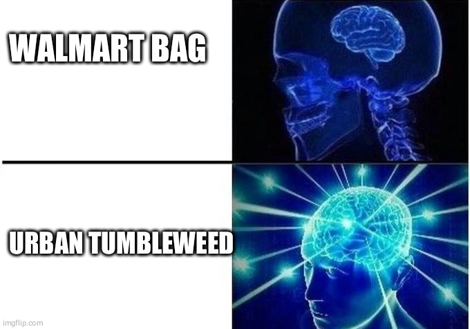 Expanding Brain 2 | WALMART BAG; URBAN TUMBLEWEED | image tagged in expanding brain 2 | made w/ Imgflip meme maker