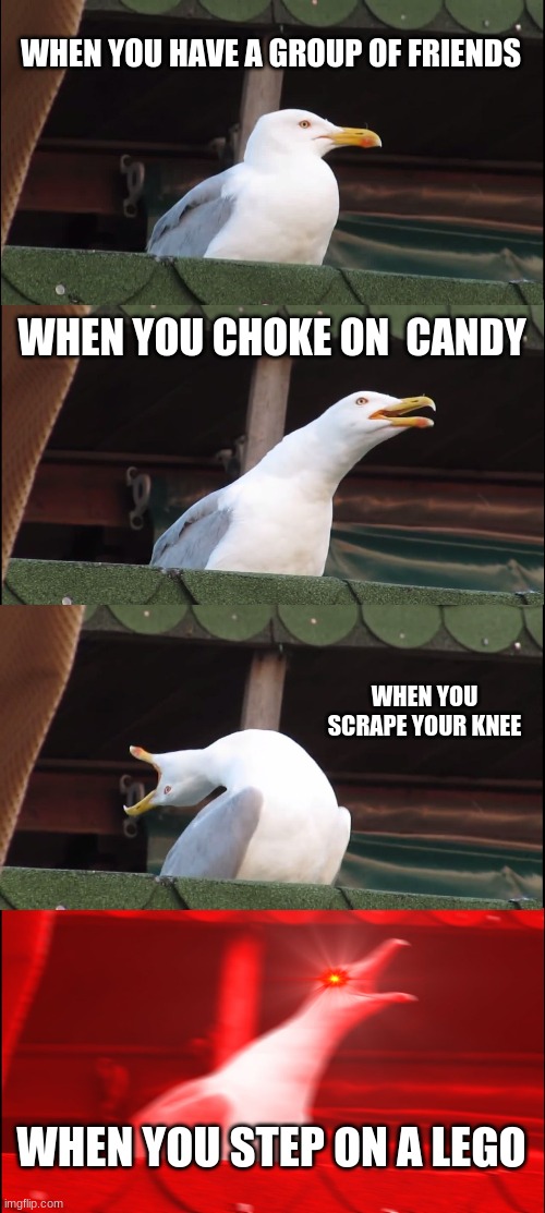 Inhaling Seagull | WHEN YOU HAVE A GROUP OF FRIENDS; WHEN YOU CHOKE ON  CANDY; WHEN YOU SCRAPE YOUR KNEE; WHEN YOU STEP ON A LEGO | image tagged in memes,inhaling seagull | made w/ Imgflip meme maker
