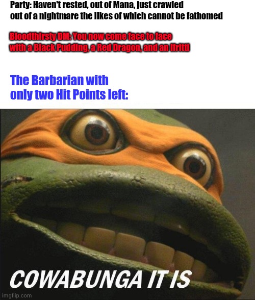 Cowabunga It Is | Party: Haven't rested, out of Mana, just crawled out of a nightmare the likes of which cannot be fathomed; Bloodthirsty DM: You now come face to face with a Black Pudding, a Red Dragon, and an Ifritti; The Barbarian with only two Hit Points left: | image tagged in cowabunga it is | made w/ Imgflip meme maker