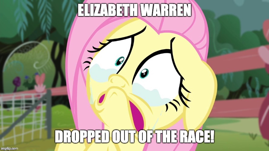 She was the last candidate I was going for! | ELIZABETH WARREN; DROPPED OUT OF THE RACE! | image tagged in crying fluttershy,memes,elizabeth warren,election 2020 | made w/ Imgflip meme maker
