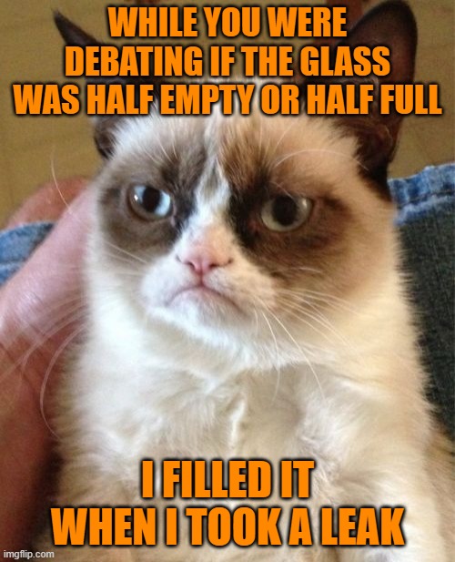 Grumpy Cat Meme |  WHILE YOU WERE DEBATING IF THE GLASS WAS HALF EMPTY OR HALF FULL; I FILLED IT WHEN I TOOK A LEAK | image tagged in memes,grumpy cat | made w/ Imgflip meme maker
