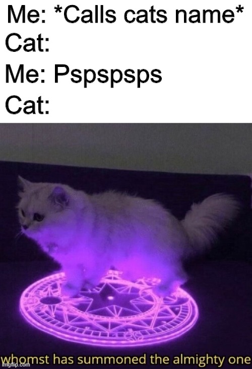Whomst has summoned the almighty one | Me: *Calls cats name*; Cat:; Me: Pspspsps; Cat: | image tagged in whomst has summoned the almighty one,cats,memes,funny,cat | made w/ Imgflip meme maker