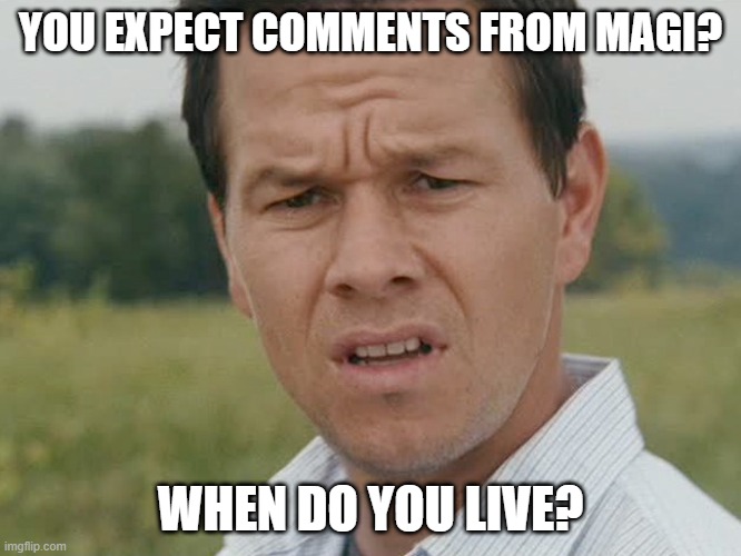 Huh  | YOU EXPECT COMMENTS FROM MAGI? WHEN DO YOU LIVE? | image tagged in huh | made w/ Imgflip meme maker
