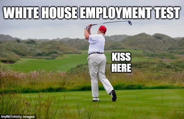 WHITE HOUSE EMPLOYMENT TEST; KISS
HERE | image tagged in trump | made w/ Imgflip meme maker