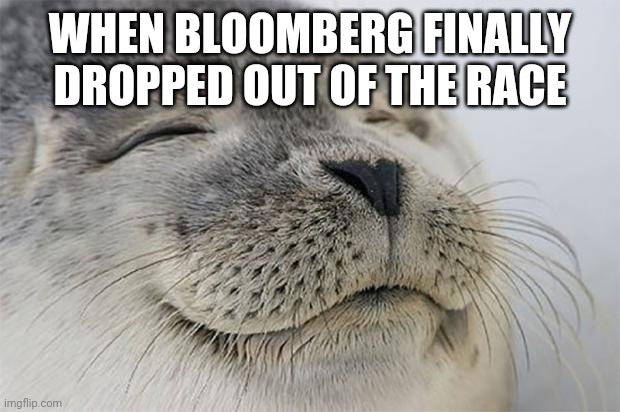 Satisfied Seal | WHEN BLOOMBERG FINALLY DROPPED OUT OF THE RACE | image tagged in memes,satisfied seal | made w/ Imgflip meme maker