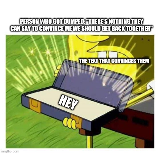 Spongebob box | PERSON WHO GOT DUMPED: "THERE'S NOTHING THEY CAN SAY TO CONVINCE ME WE SHOULD GET BACK TOGETHER"; THE TEXT THAT CONVINCES THEM; HEY | image tagged in spongebob box | made w/ Imgflip meme maker