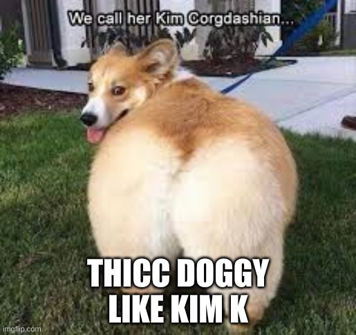 Thicc dog | THICC DOGGY
LIKE KIM K | image tagged in dog,thicc | made w/ Imgflip meme maker
