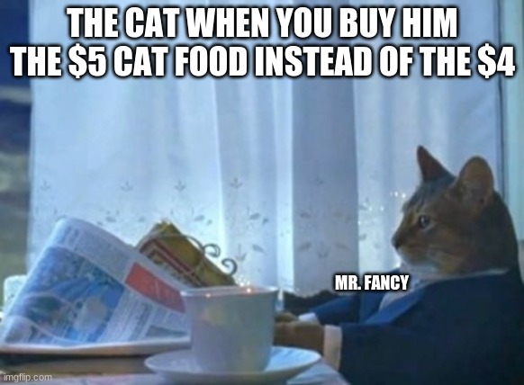 I Should Buy A Boat Cat | THE CAT WHEN YOU BUY HIM THE $5 CAT FOOD INSTEAD OF THE $4; MR. FANCY | image tagged in memes,i should buy a boat cat | made w/ Imgflip meme maker