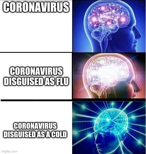 Expanding brain 3 panels | CORONAVIRUS; CORONAVIRUS DISGUISED AS FLU; CORONAVIRUS DISGUISED AS A COLD | image tagged in expanding brain 3 panels | made w/ Imgflip meme maker