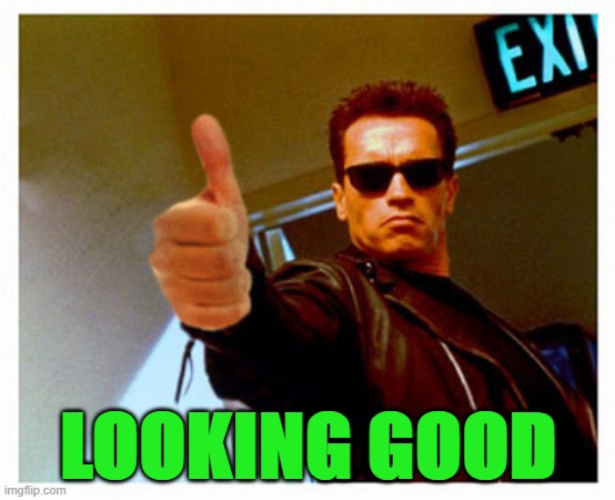 LOOKING GOOD | image tagged in looking good | made w/ Imgflip meme maker
