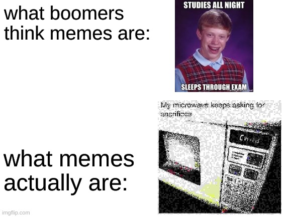 Blank White Template | what boomers think memes are:; what memes actually are: | image tagged in blank white template | made w/ Imgflip meme maker