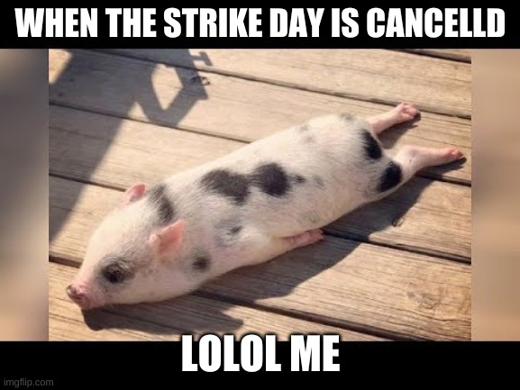 lol XD | WHEN THE STRIKE DAY IS CANCELLD; LOLOL ME | image tagged in mems,memes,dank memes,funny,hilarious,lol so funny | made w/ Imgflip meme maker