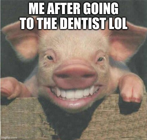 ME AFTER GOING TO THE DENTIST LOL | image tagged in funny,funny memes,dank memes,dank,best meme,hot | made w/ Imgflip meme maker