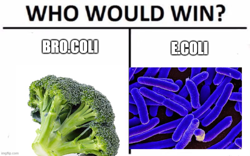 Who Would Win? Meme | BRO.COLI; E.COLI | image tagged in memes,who would win | made w/ Imgflip meme maker