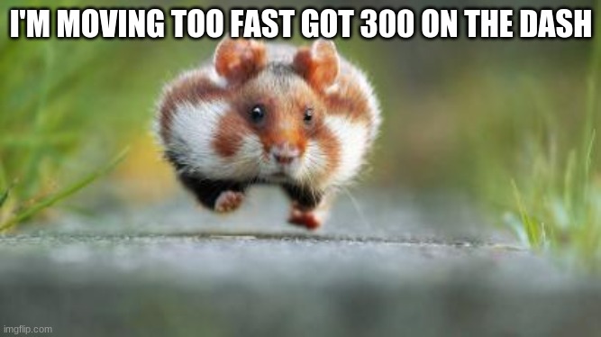 I'M MOVING TOO FAST GOT 300 ON THE DASH | image tagged in memes,funny memes,funny,too funny | made w/ Imgflip meme maker