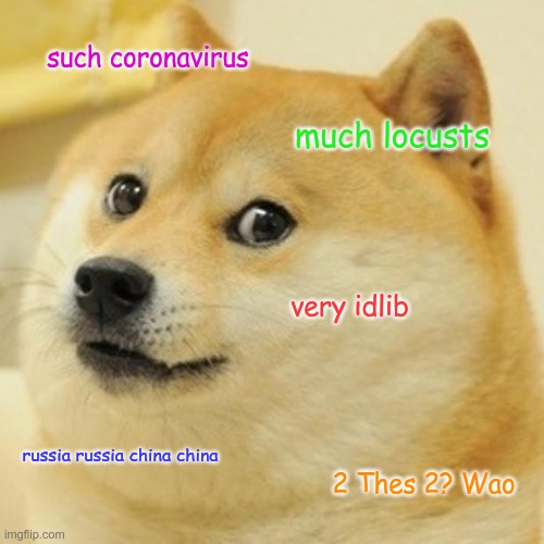 Doge | such coronavirus; much locusts; very idlib; russia russia china china; 2 Thes 2? Wao | image tagged in memes,doge | made w/ Imgflip meme maker