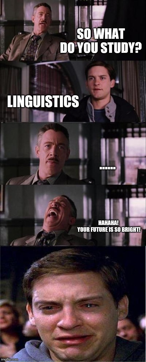Peter Parker Cry | SO WHAT DO YOU STUDY? LINGUISTICS; ...... HAHAHA! 
YOUR FUTURE IS SO BRIGHT! | image tagged in memes,peter parker cry | made w/ Imgflip meme maker