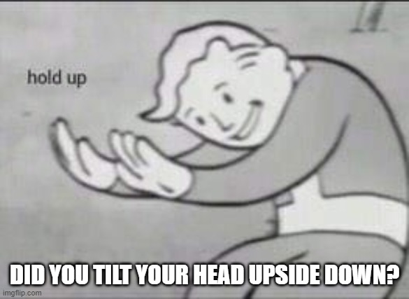 Fallout Hold Up | DID YOU TILT YOUR HEAD UPSIDE DOWN? | image tagged in fallout hold up | made w/ Imgflip meme maker