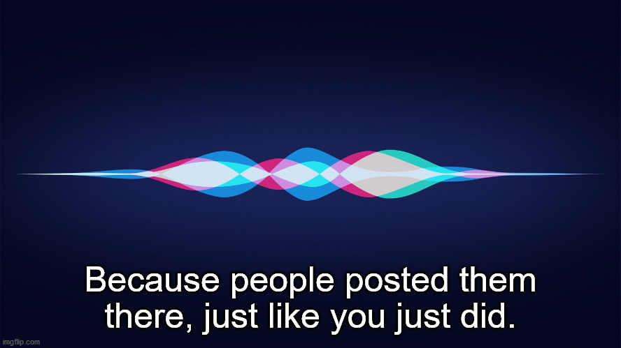 siri | Because people posted them there, just like you just did. | image tagged in siri | made w/ Imgflip meme maker