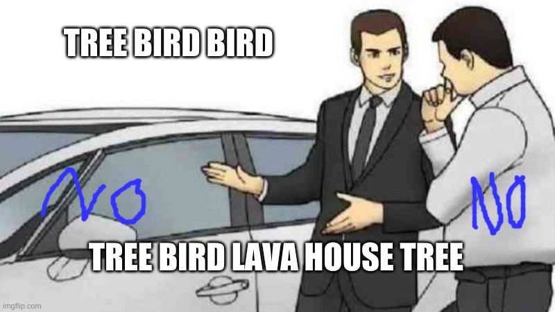 I think I was high when I made this... | TREE BIRD BIRD; TREE BIRD LAVA HOUSE TREE | image tagged in memes,car salesman slaps roof of car,mmmmm | made w/ Imgflip meme maker