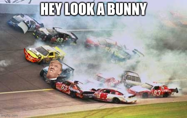 Because Race Car | HEY LOOK A BUNNY | image tagged in memes,because race car | made w/ Imgflip meme maker
