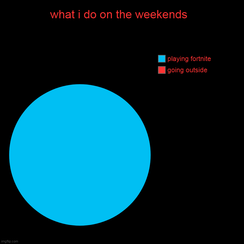 what i do on the weekends | what i do on the weekends  | going outside , playing fortnite | image tagged in pie charts | made w/ Imgflip chart maker