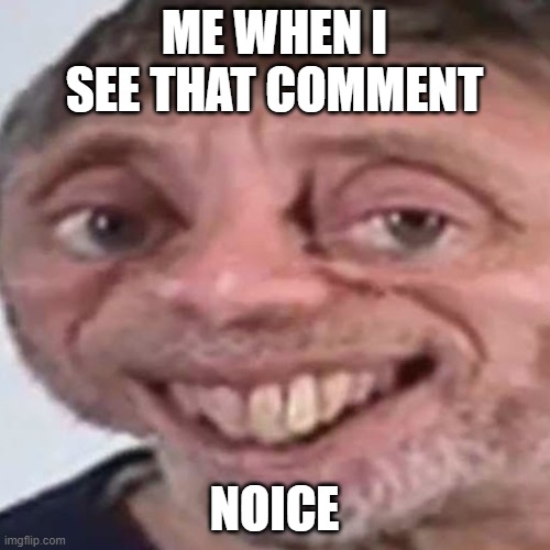 Noice | ME WHEN I SEE THAT COMMENT NOICE | image tagged in noice | made w/ Imgflip meme maker