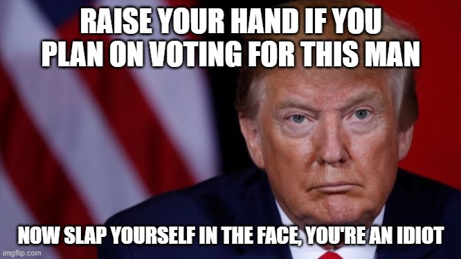 Trump |  RAISE YOUR HAND IF YOU PLAN ON VOTING FOR THIS MAN; NOW SLAP YOURSELF IN THE FACE, YOU'RE AN IDIOT | image tagged in donald trump,dumptrump,bad choices | made w/ Imgflip meme maker